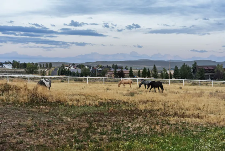 Expansive pasture with white fencing, bordering a community with evergreen trees and distant mountains