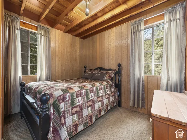 Wood-paneled walls and ceiling with exposed wood beams, featuring two windows with natural light, and a textured carpeted floor