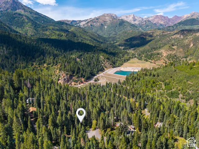 Mountainous landscape featuring extensive evergreen forests