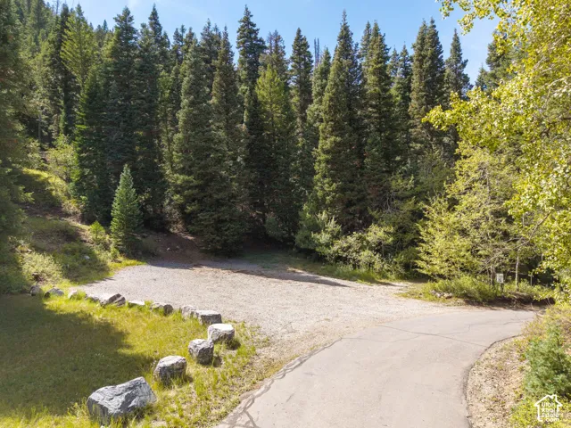Mature evergreen trees, natural landscaping, paved driveway, gravel parking area, natural rock formations