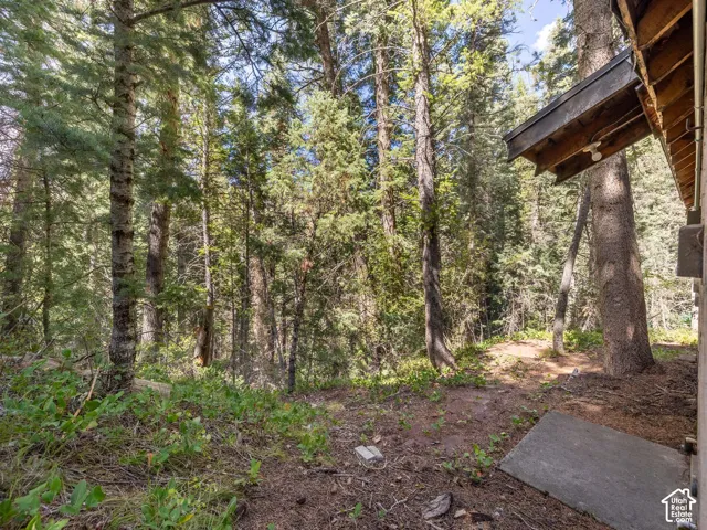 Wooded exterior featuring mature trees and natural ground cover