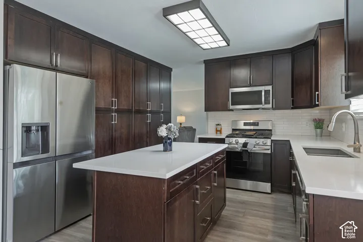 Kitchen featuring wood-finish flooring, dark wood cabinetry, white countertops, stainless steel appliances, and a subway tile backsplash