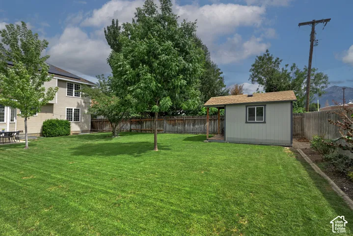 Expansive lawn with mature trees, a detached storage shed with an overhang, and a wood privacy fence