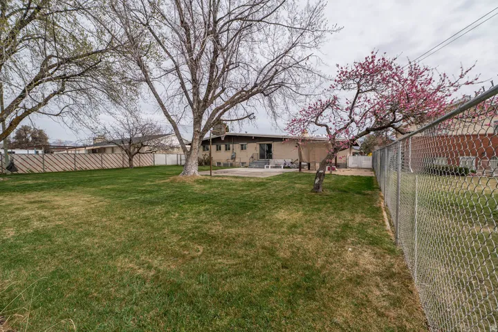 Expansive green lawn, mature trees, flowering tree, privacy fencing, and concrete patio
