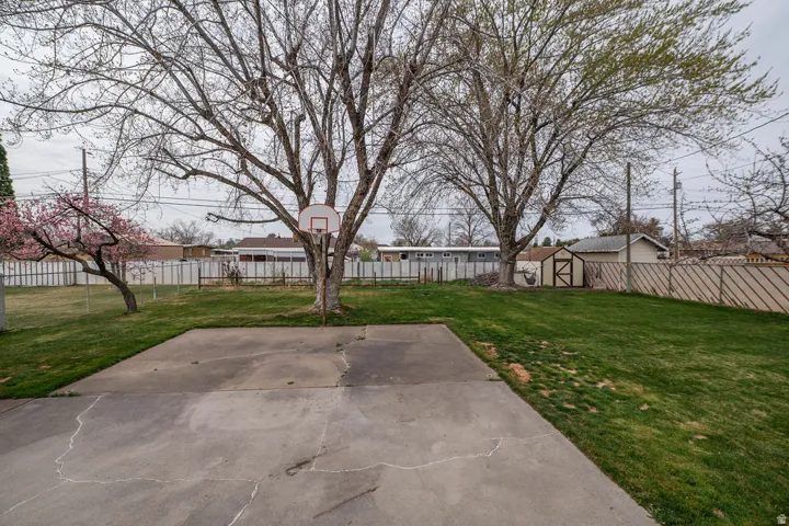 Expansive backyard featuring a concrete pad, mature trees, and a storage shed