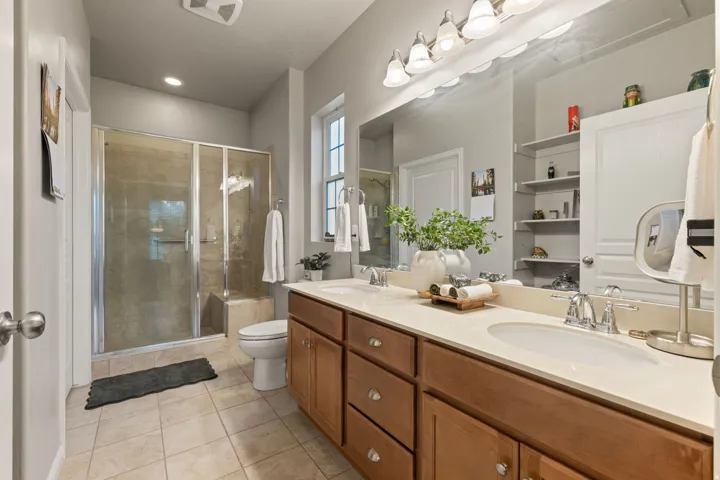 Primary Bathroom Step-in Shower