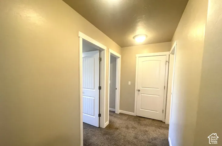Hallway with neutral-toned walls, white trim, and carpeted flooring