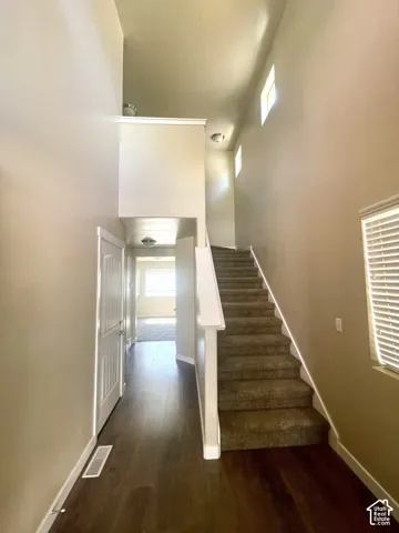 Two-story entry with wood-finish flooring, a carpeted staircase, and multiple transom windows