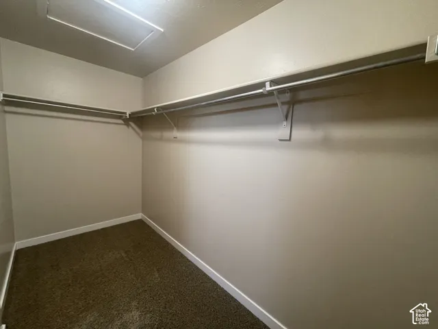 Built-in closet shelving and hanging rods, neutral wall tones, and textured carpet flooring