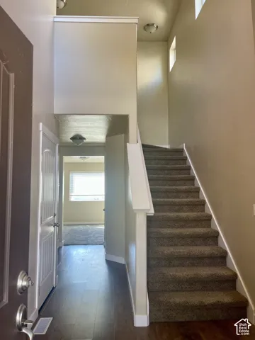 Two-story foyer with wood-finish flooring, a carpeted staircase, and multiple windows