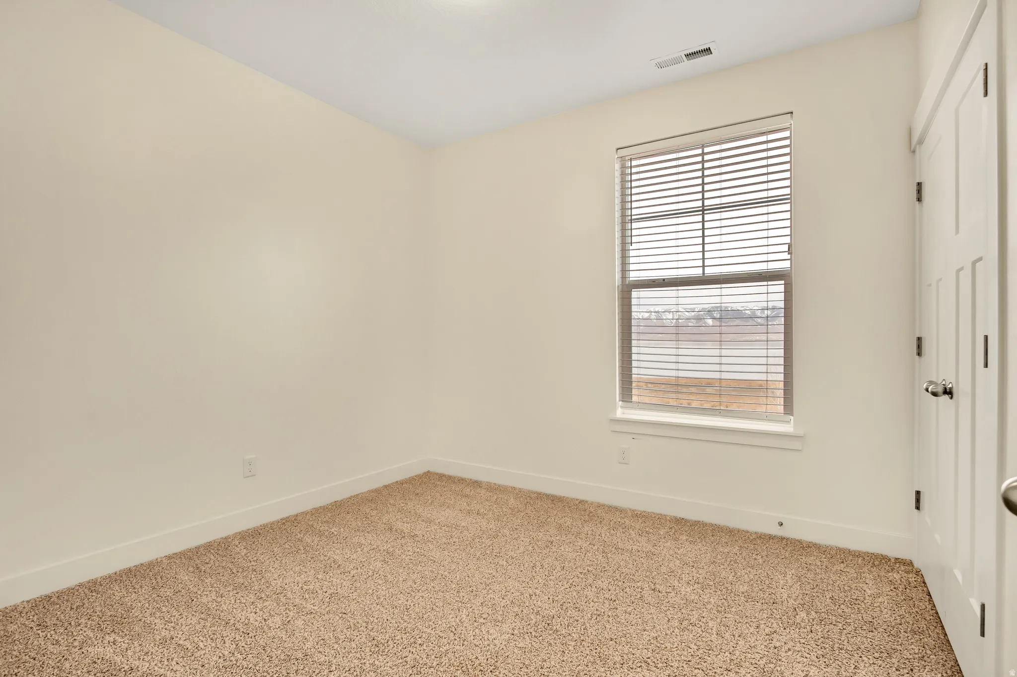 Neutral wall paint, carpeted flooring, window with horizontal blinds, overhead light fixture, and a paneled door