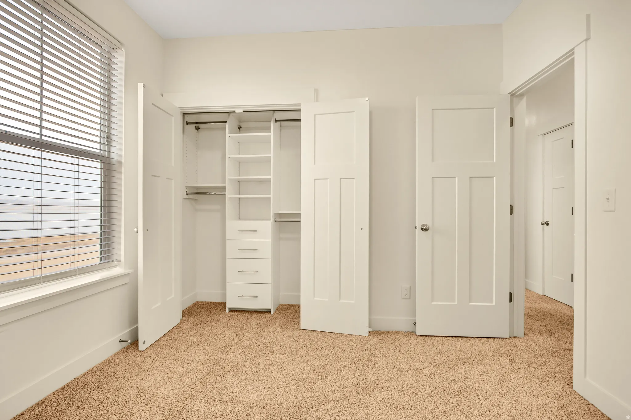 Built-in closet organization system, white trim and baseboards, three-panel interior doors, window with horizontal blinds, and carpeting
