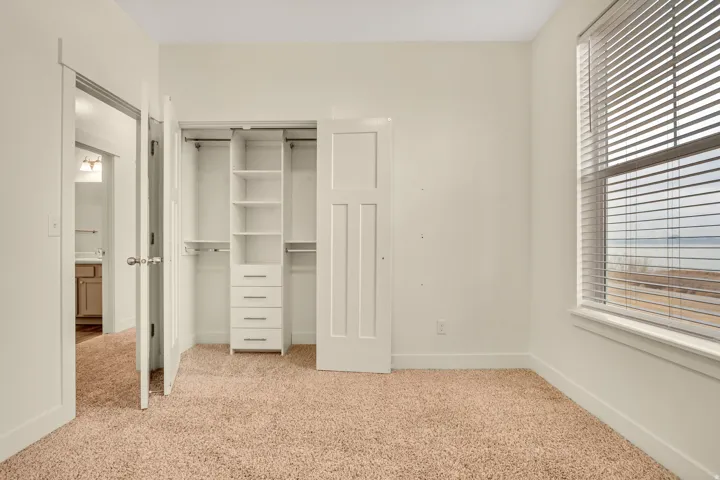 Bedroom featuring plush carpet, built-in closet organization system, white paneled doors, and a window with horizontal blinds