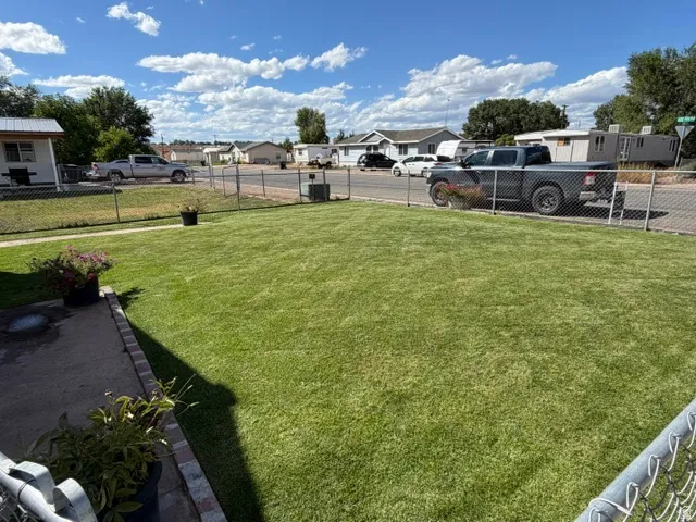 Manicured front lawn with chain link fencing