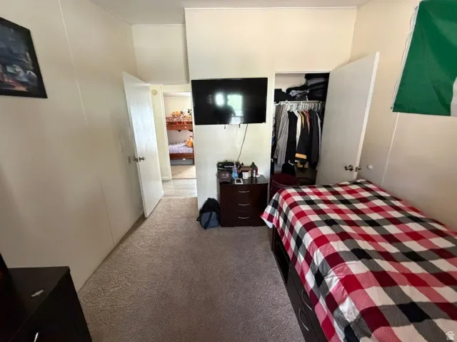 Wall-to-wall carpeting and built-in closet with shelving