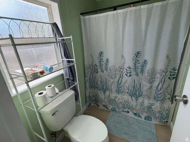 Bathroom with light green walls and wood-finish flooring