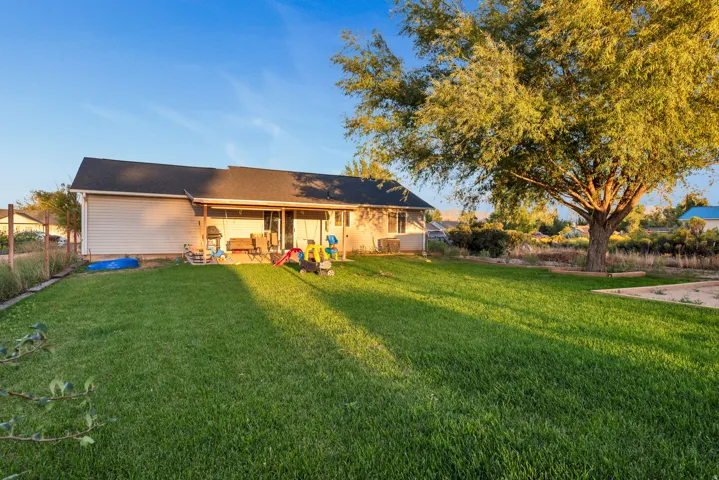 Expansive backyard featuring a large green lawn, mature tree, and covered patio