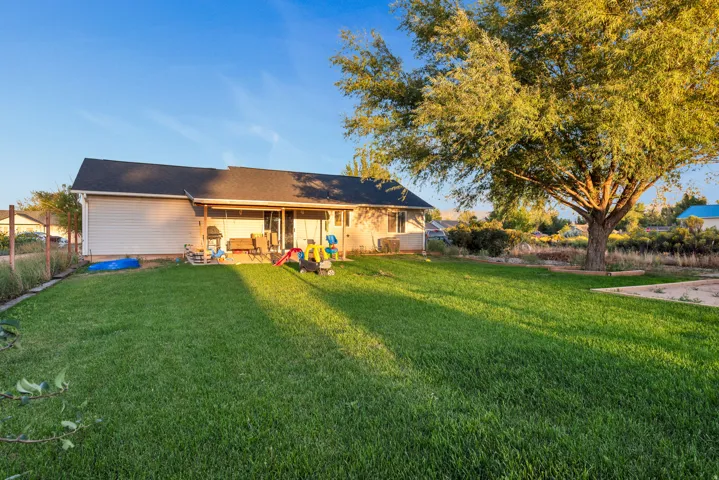 Expansive backyard with a manicured lawn, large shade tree, and a covered patio area
