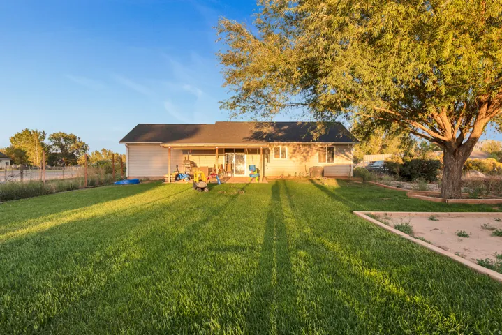 Expansive backyard with a manicured lawn, covered patio, and large mature tree