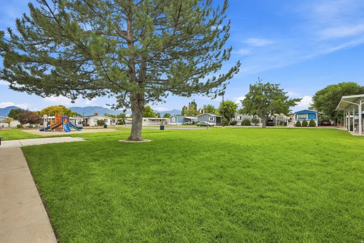 Expansive green space featuring mature trees and a dedicated playground area