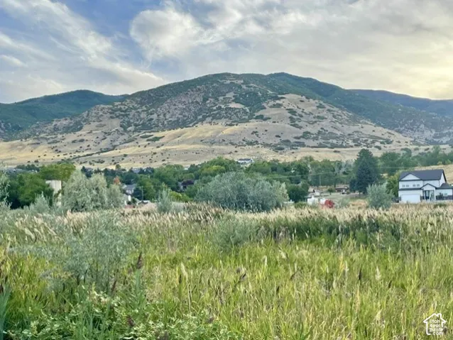 Hess Farms is tucked between Farmington's beautiful Wasatch Mountains and protected green space.