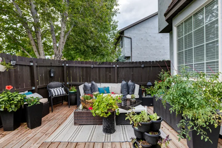 Wood-finish decking with a dark-stained privacy fence and mature trees