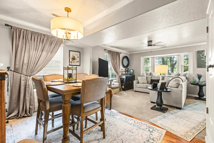 Open-concept living space featuring wood-finish flooring, a dining area with a drum pendant light, a living room with carpet, a bay window, and a ceiling fan