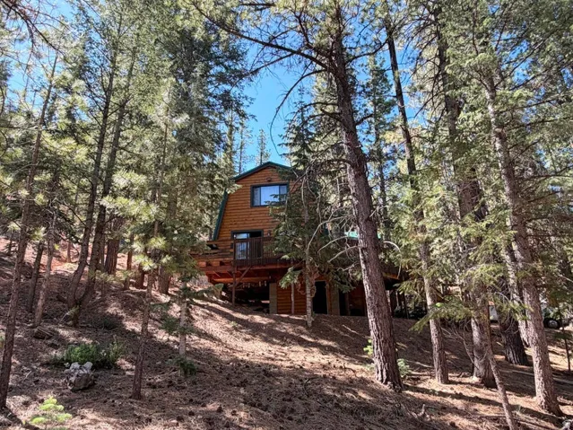 Rustic wood-sided residence nestled within a mature pine forest setting