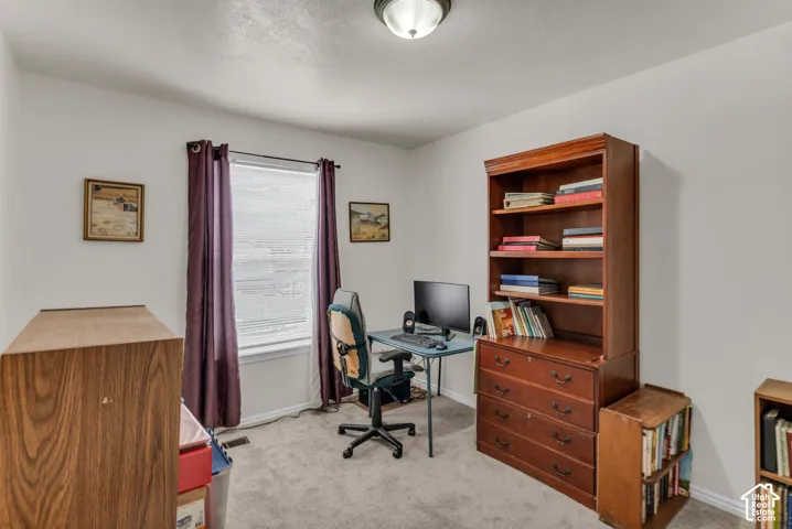 Carpeted room featuring a white window frame, neutral wall paint, and a flush-mount ceiling light