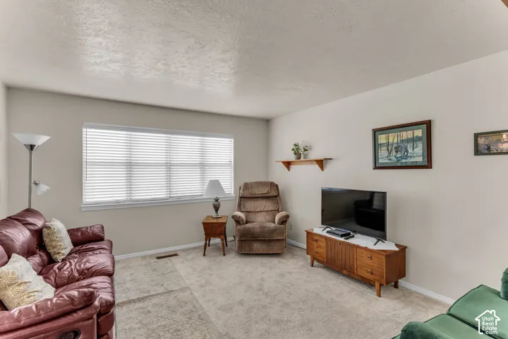 Carpeted living space with a large window, light-toned walls, and a built-in wall shelf