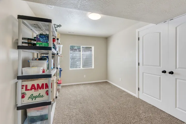 Neutral tone wall paint, flush mount ceiling light, window with blinds, carpet flooring, and white paneled doors