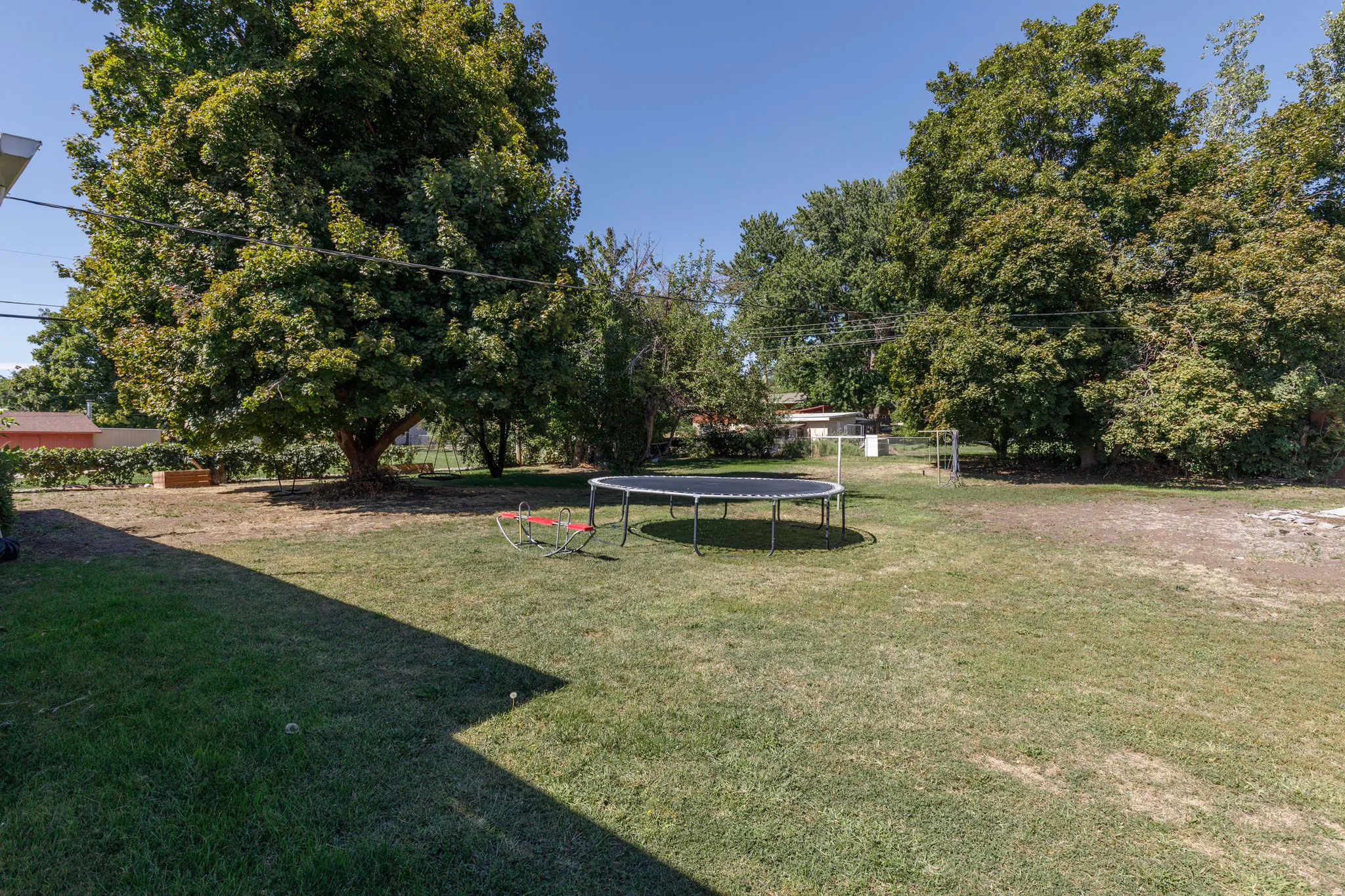 Expansive backyard with a large mature tree and open lawn space