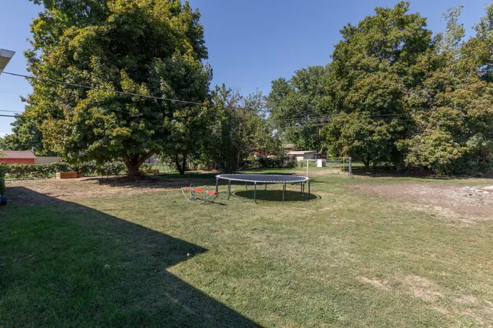 Expansive backyard with a large mature tree and open lawn space