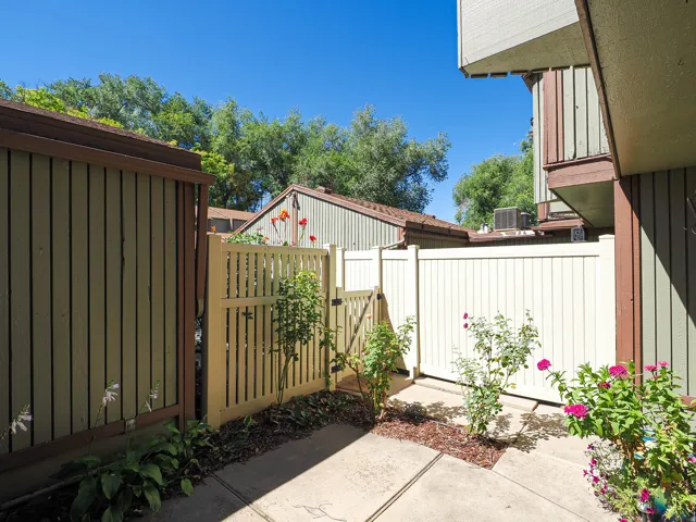Private fenced patio with concrete paving and established garden beds