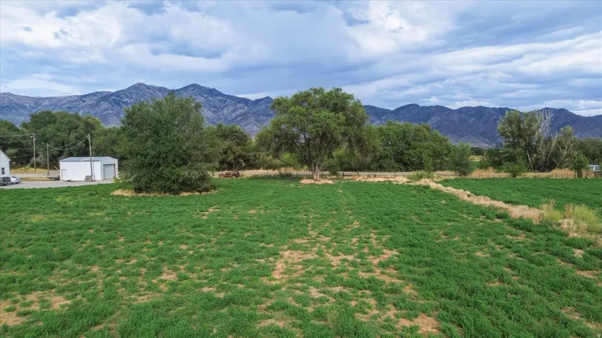 Expansive green field with mature trees and mountain backdrop