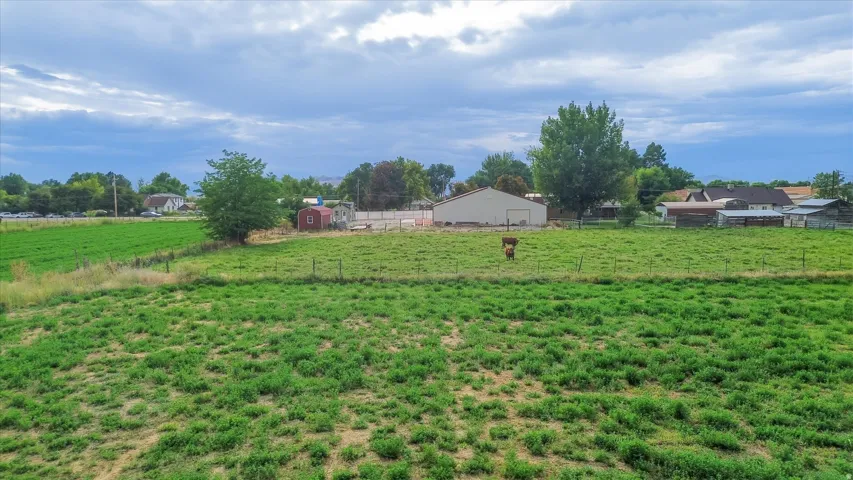 Expansive green pasture with perimeter fencing, a freestanding outbuilding, and mature trees