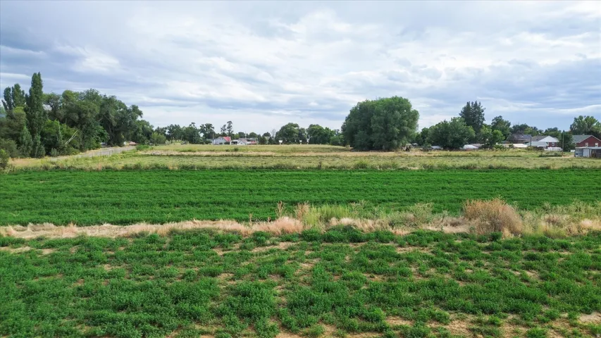 Expansive open field with green vegetation and distant residential structures