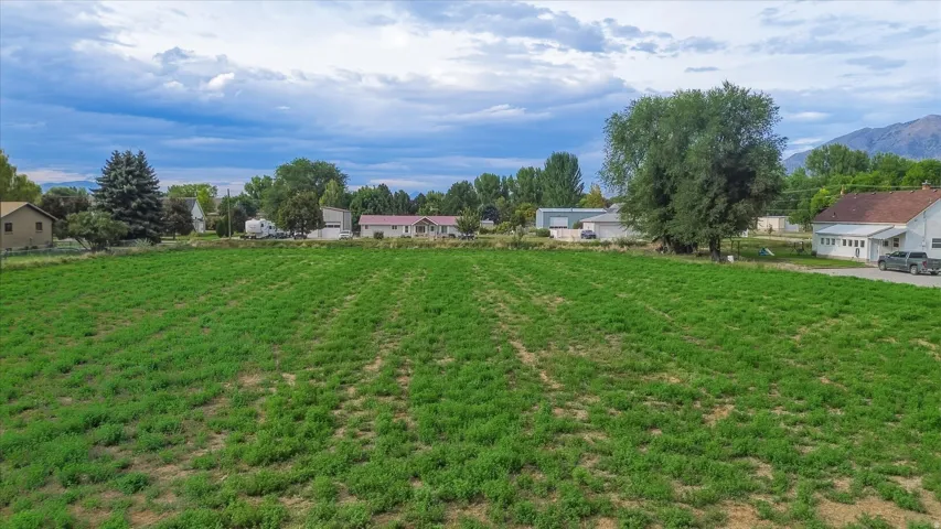 Expansive land parcel with lush greenery and distant mountain backdrop