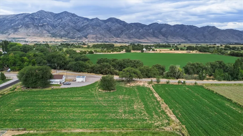 Expansive green fields with a distinct mountainous backdrop