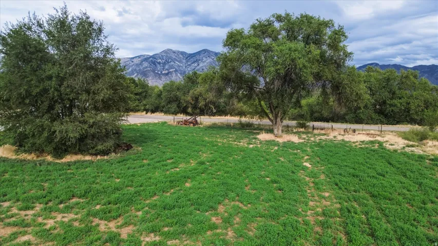 Expansive green space with mature trees