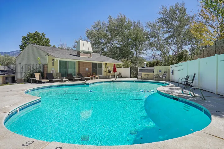 Curved outdoor swimming pool with concrete decking, surrounding a single-story building with siding and a dark shingled roof