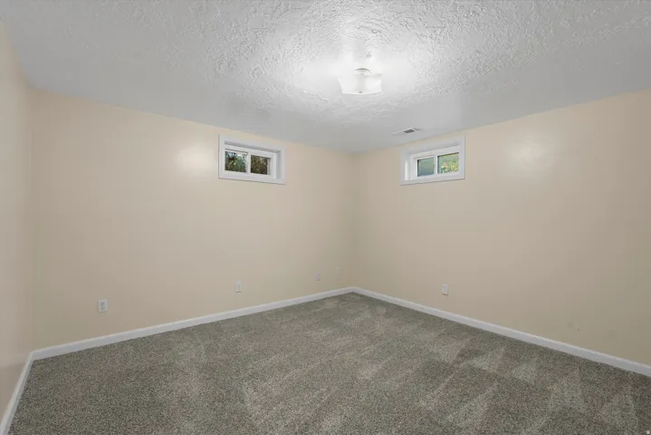 Neutral-toned walls, textured ceiling, two windows, wall-to-wall carpeting, and a ceiling-mounted light fixture