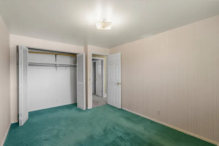 Wall-to-wall carpeting, bi-fold closet doors, and a ceiling-mounted light fixture