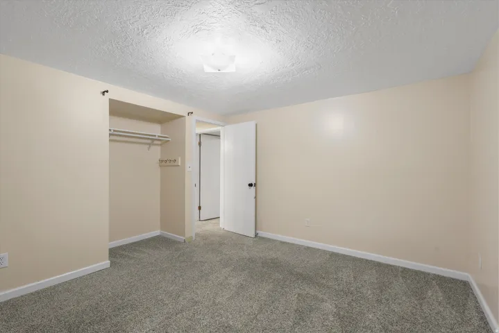 Neutral wall tones, gray carpeting, a built-in closet with hanging rods, a ceiling-mounted light fixture, and white trim work