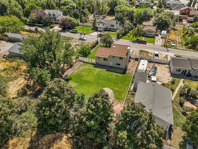Expansive green lawn, mature perimeter trees, and a privacy fence