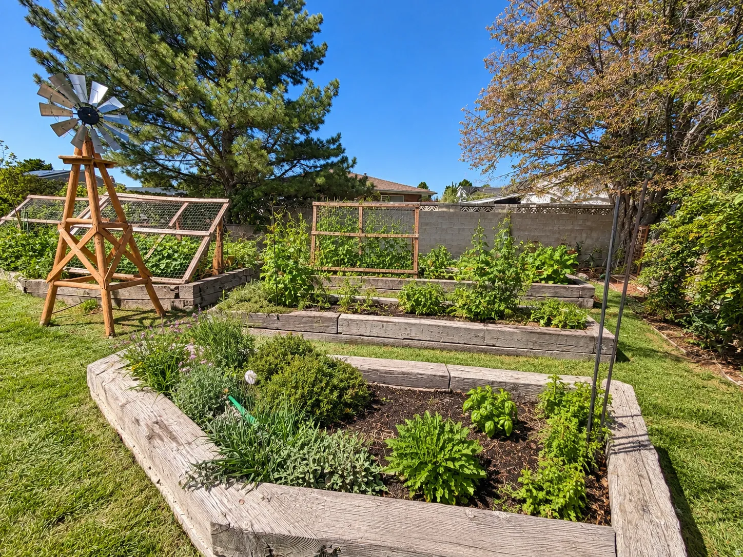 Expansive backyard featuring multiple raised garden beds, mature landscaping, and a decorative windmill