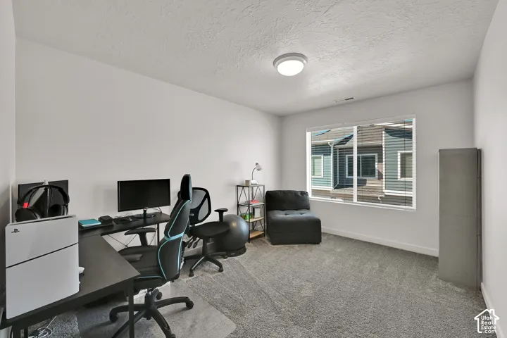 White wall paint, textured ceiling, large window with blinds, recessed lighting fixture, and gray carpeting