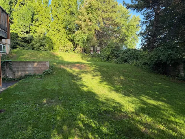 Expansive green lawn with a retaining wall, mature trees, and natural foliage