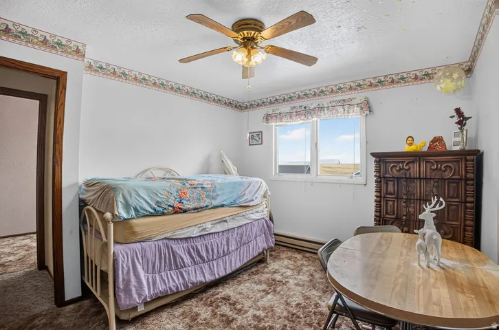 Textured wall-to-wall carpeting, wood-finish ceiling fan, and large window offering natural illumination