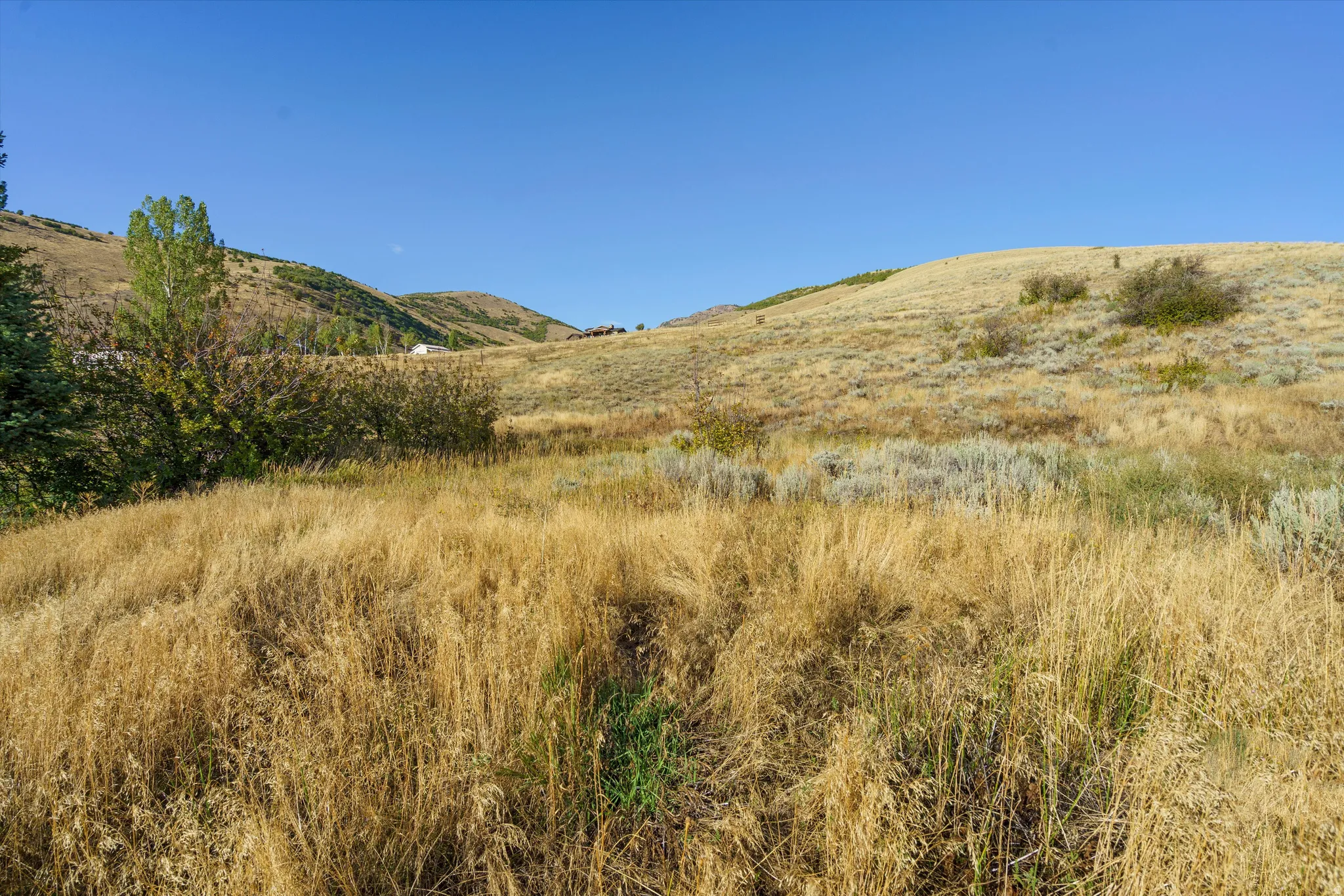 Expansive open terrain with natural vegetation and distant hills